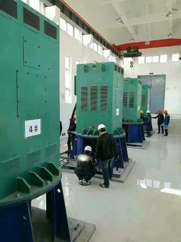 Y400-6某污水处理厂使用我厂的立式高压电机安装现场
