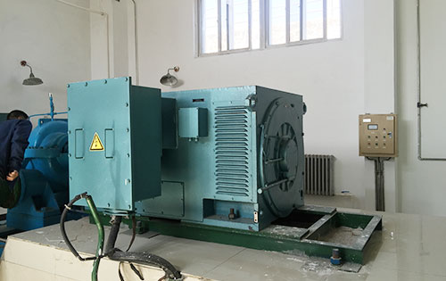 Y400-6某水电站工程主水泵使用我公司高压电机