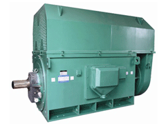 Y400-6Y系列6KV高压电机